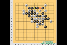 日本棋神中村茂对战棋谱
